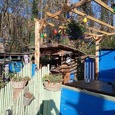 Maison 70M2 Calme Vue Sur Foret Salles  Exterior photo